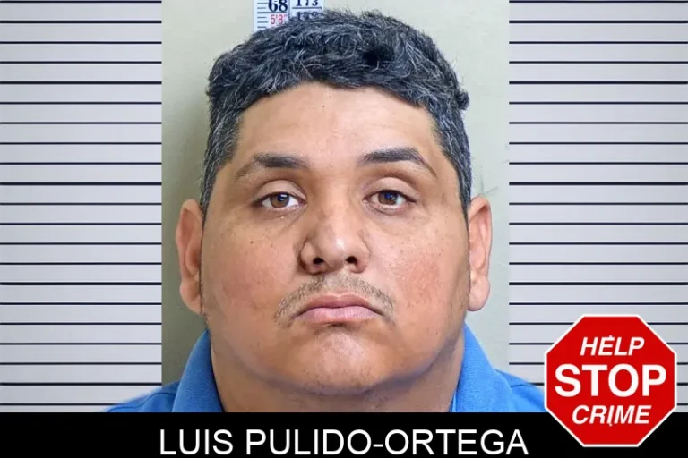 Luis Pulido-Ortega