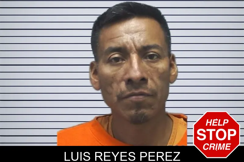 Luis Reyes Perez mugshot