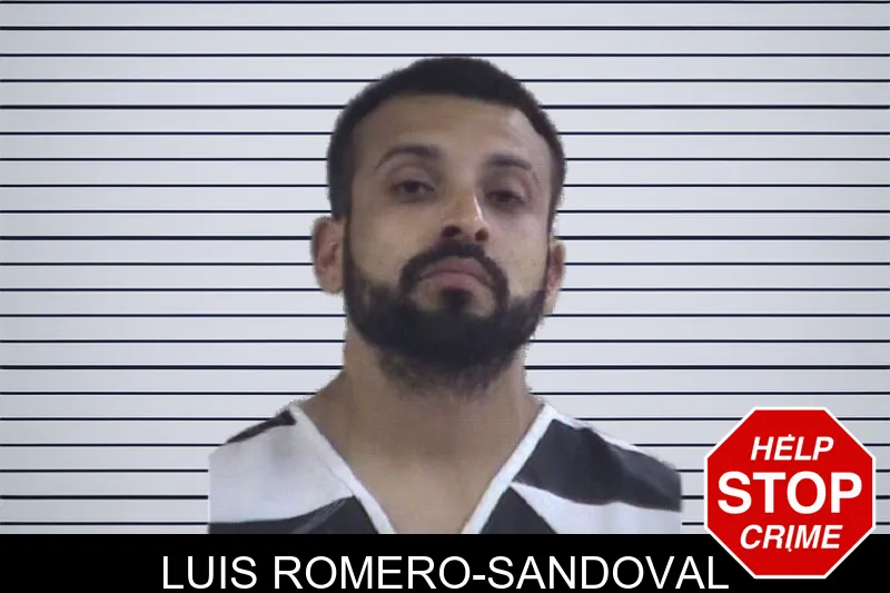Luis Romero-Sandoval mugshot
