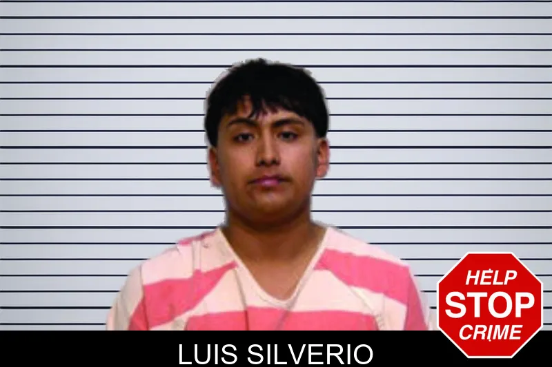 Luis Silverio mugshot – Bartow County , Georgia Luis Silverio mugshot