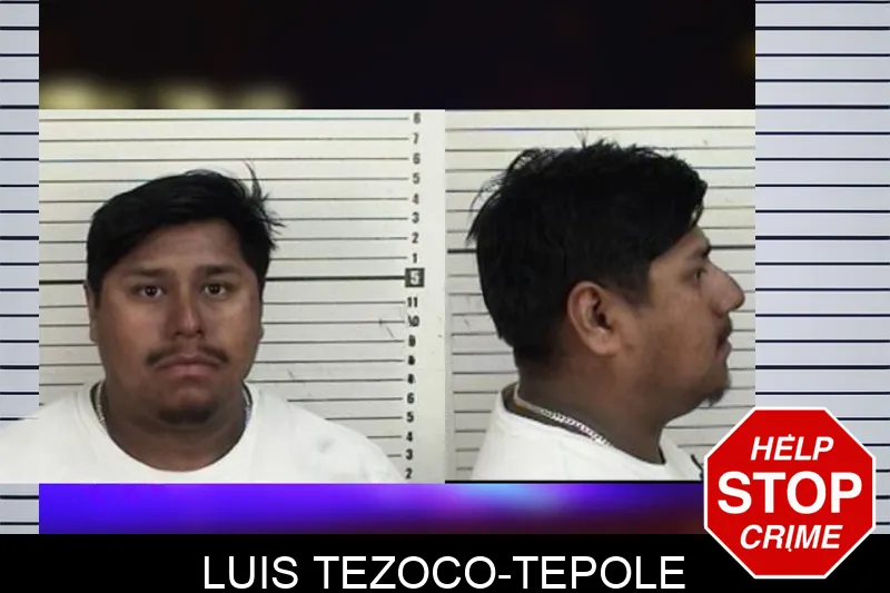 Luis Tezoco-Tepole mugshot