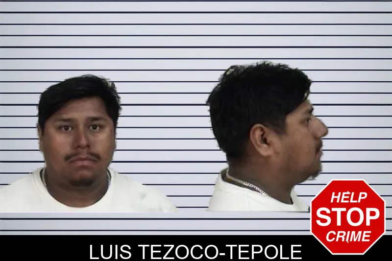 Luis Tezoco-Tepole mugshot – Camden County , Georgia Luis Tezoco-Tepole mugshot