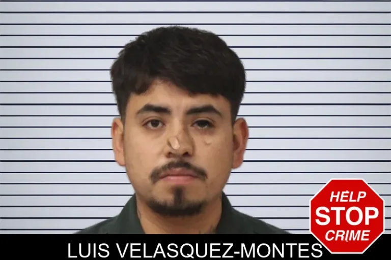 Luis Velasquez-Montes mugshot – Mcintosh County , Georgia Luis Velasquez-Montes