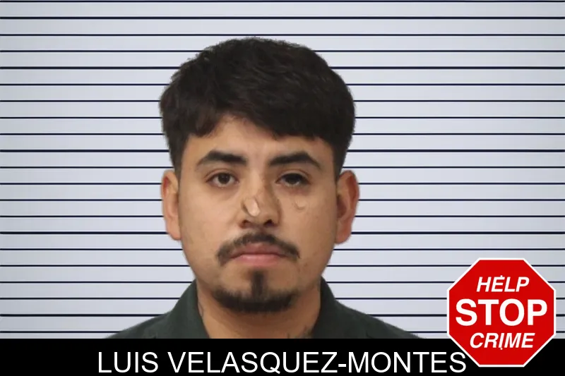 Luis Velasquez-Montes mugshot – Mcintosh County , Georgia Luis Velasquez-Montes mugshot