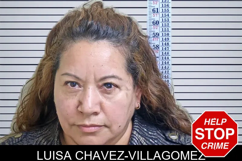 Luisa Chavez-Villagomez mugshot