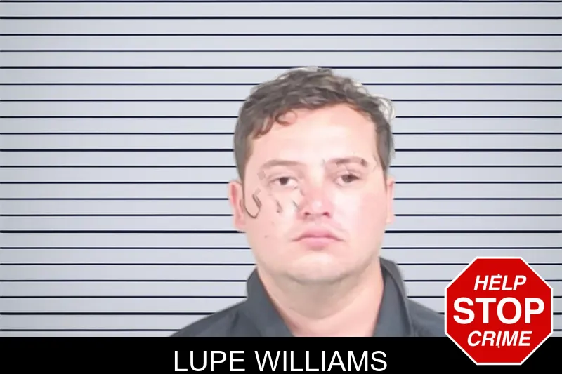 Lupe Williams mugshot – Lowndes County , Georgia Lupe Williams mugshot