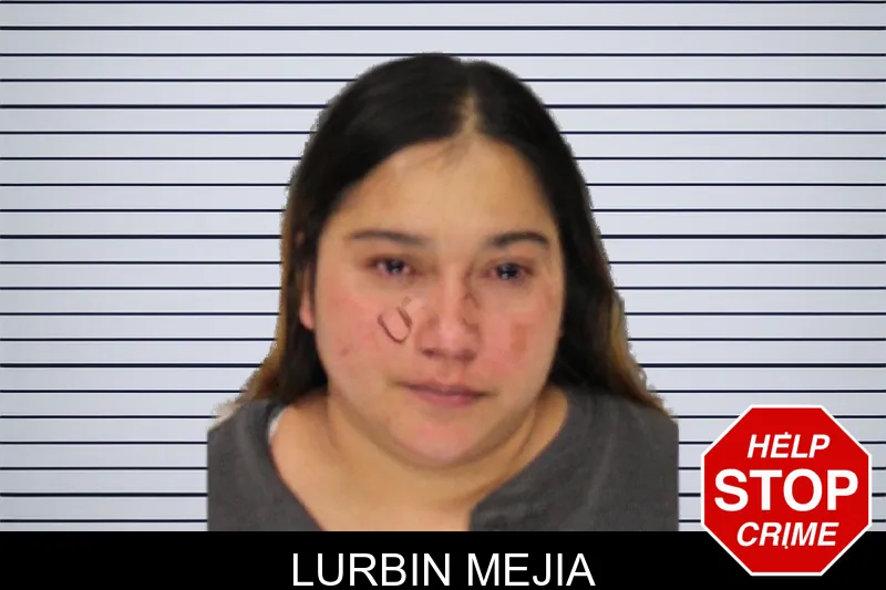 Lurbin Mejia mugshot
