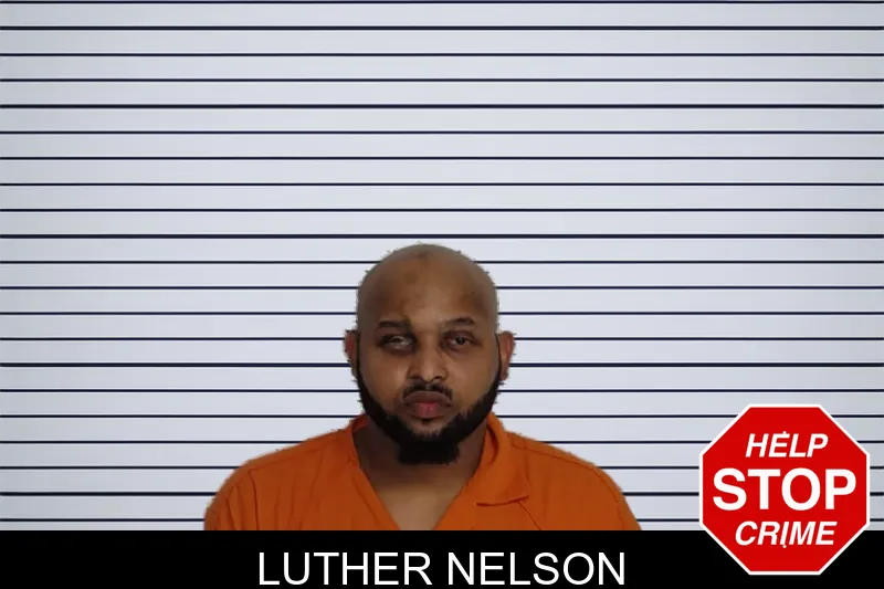Luther Nelson mugshot – Rockdale County , Georgia Luther Nelson mugshot