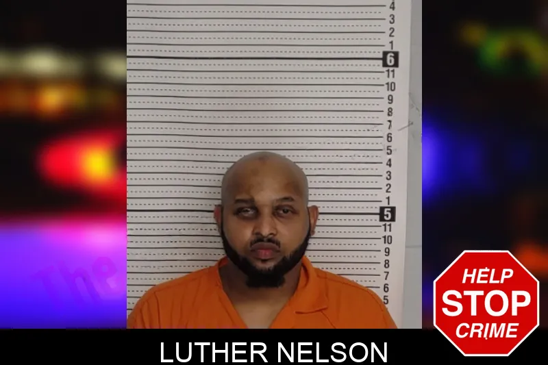 Luther Nelson mugshot – Rockdale County , Georgia Luther Nelson mugshot