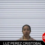 Luz Perez Cristobal mugshot – Stephens County , Georgia Luz Perez Cristobal mugshot