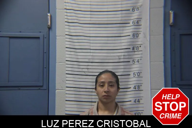Luz Perez Cristobal mugshot