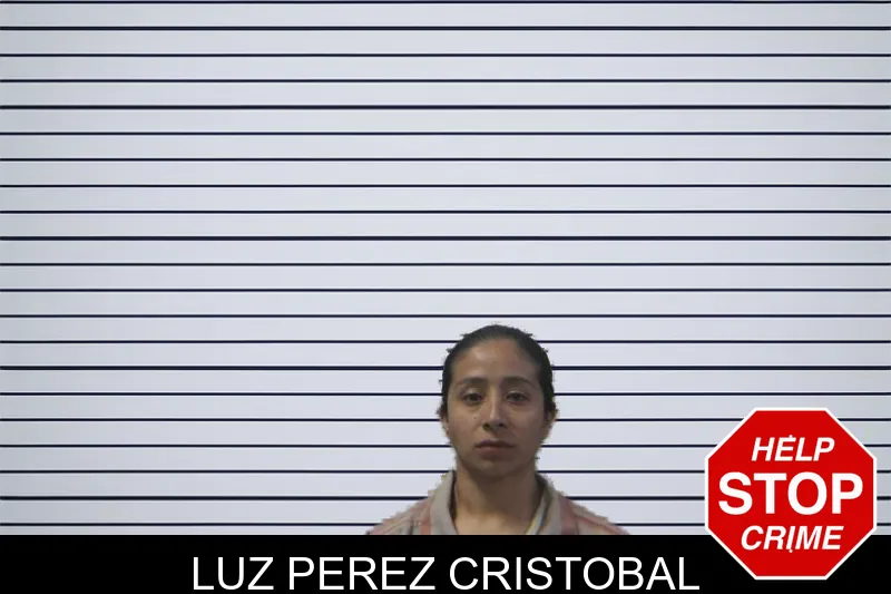 Luz Perez Cristobal mugshot – Stephens County , Georgia Luz Perez Cristobal mugshot