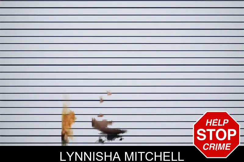 Lynnisha Mitchell mugshot