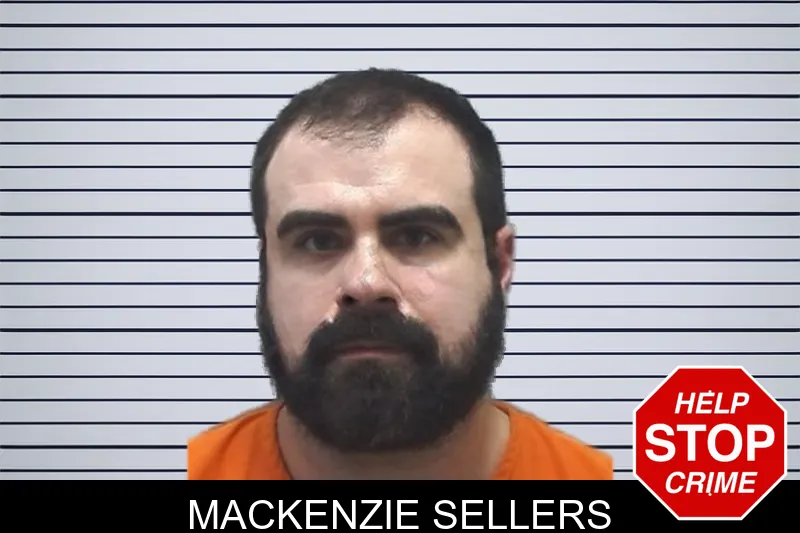 Mackenzie Sellers mugshot – Cherokee County , Georgia Mackenzie Sellers mugshot
