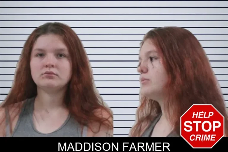 Maddison Farmer mugshot – Houston County , Georgia Maddison Farmer