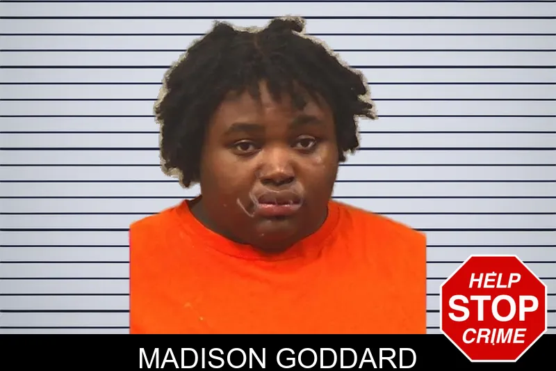 Madison Goddard mugshot – Bleckley County , Georgia Madison Goddard mugshot