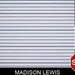 Madison Lewis mugshot