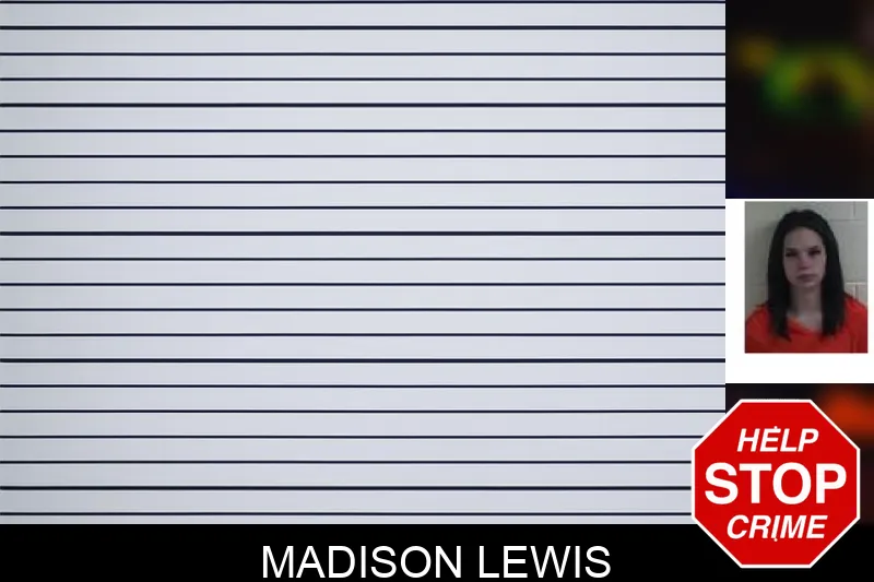 Madison Lewis mugshot