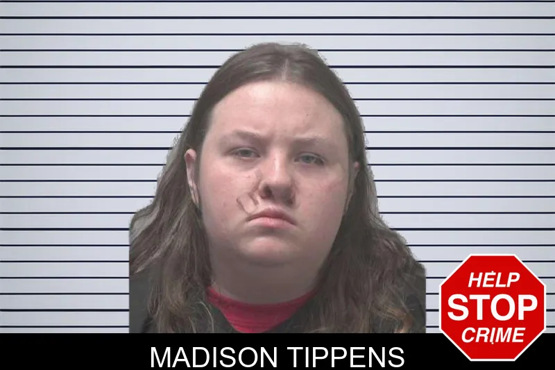 Madison Tippens mugshot