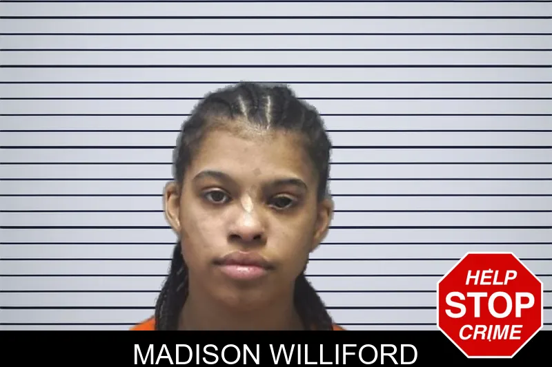 Madison Williford mugshot – Cherokee County , Georgia Madison Williford mugshot