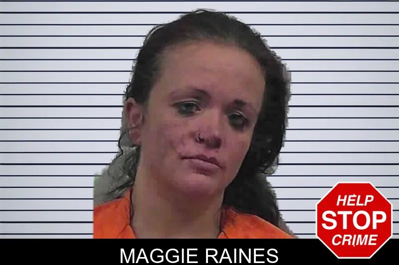Maggie Raines mugshot – Butts County , Georgia Maggie Raines mugshot