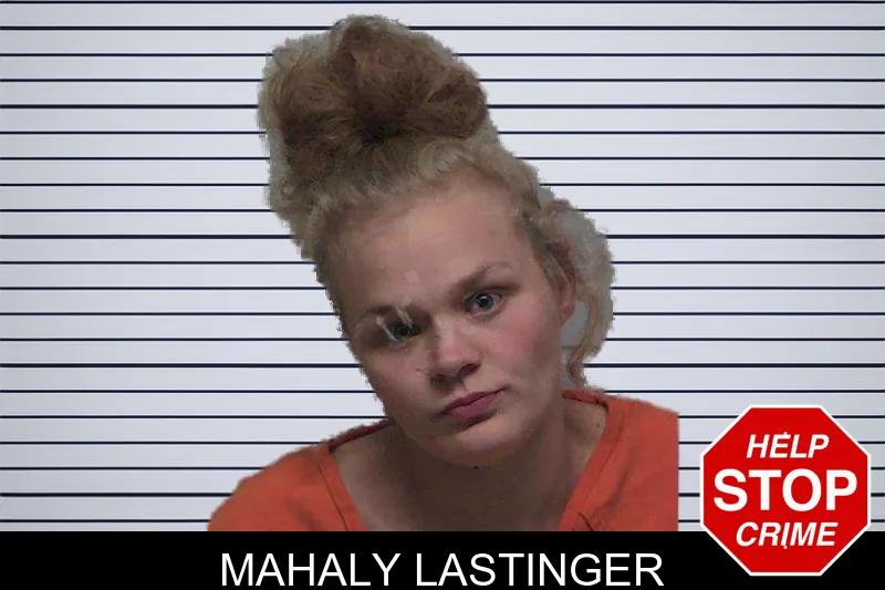 Mahaly Lastinger mugshot