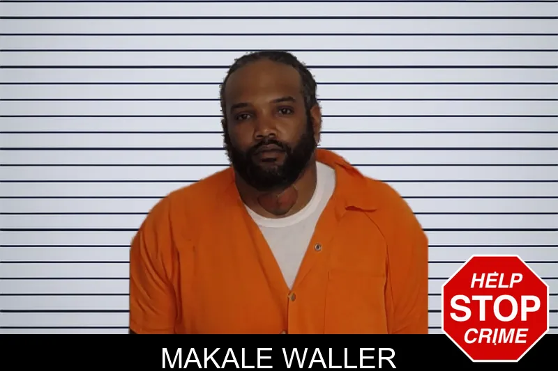 Makale Waller mugshot – Rockdale County , Georgia Makale Waller mugshot