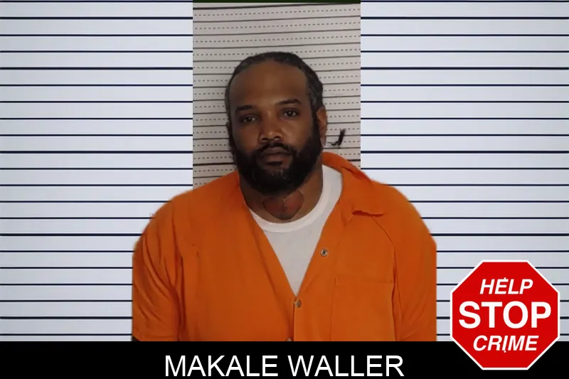 Makale Waller mugshot – Rockdale County , Georgia Makale Waller mugshot