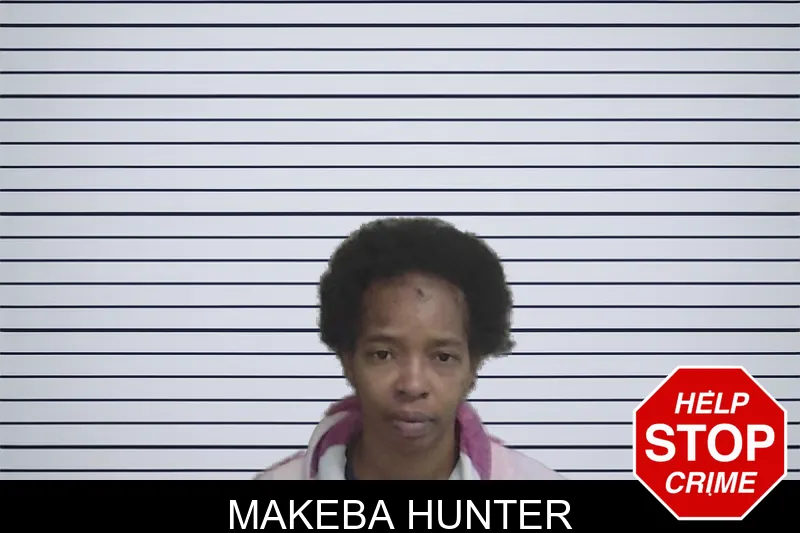 Makeba Hunter mugshot – Wayne County , Georgia Makeba Hunter mugshot