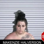 Makenzie Halverson mugshot