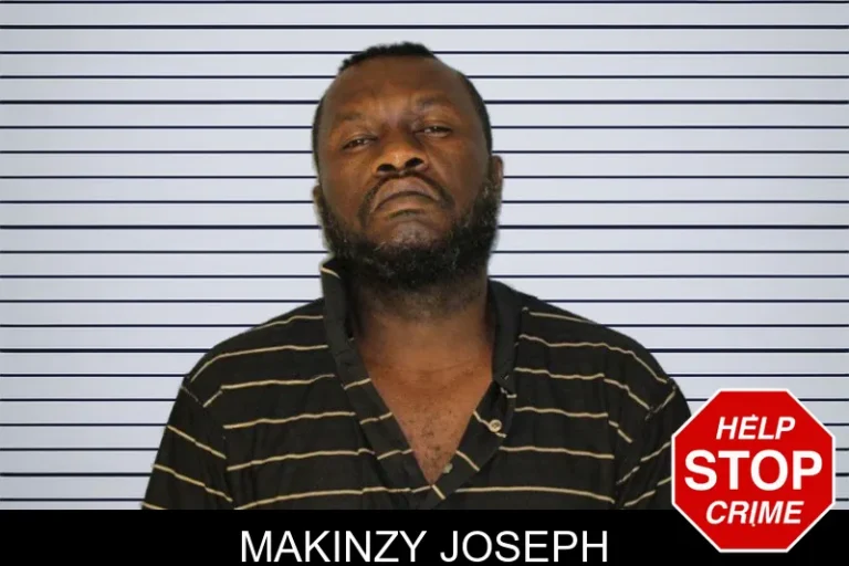 Makinzy Joseph mugshot – Hall County , Georgia Makinzy Joseph