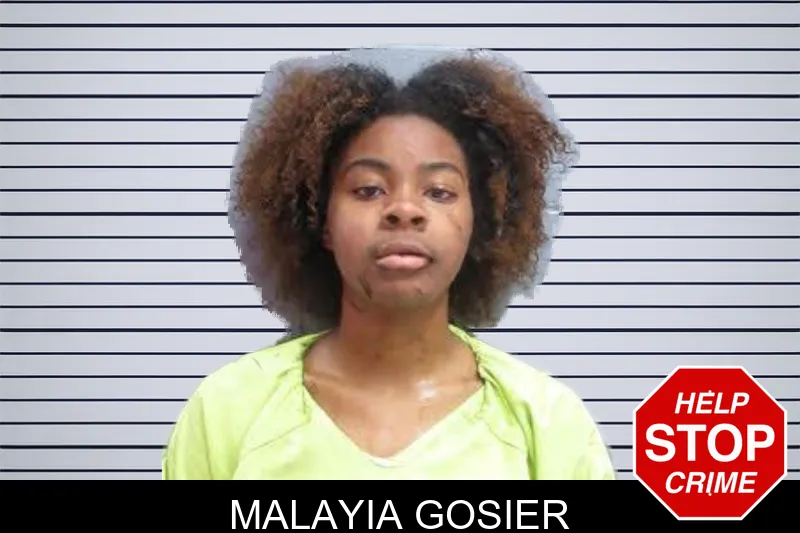 Malayia Gosier mugshot – Lee County , Georgia Malayia Gosier mugshot