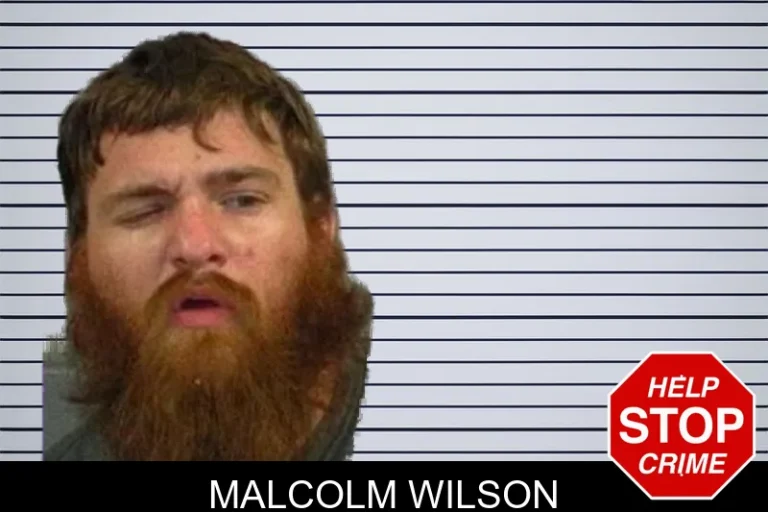 Malcolm Wilson