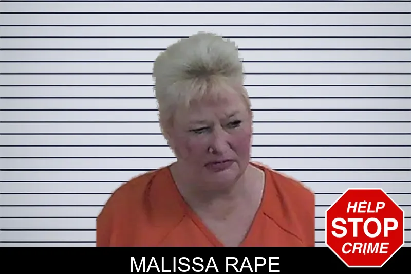 Malissa Rape mugshot – Fannin County , Georgia Malissa Rape mugshot
