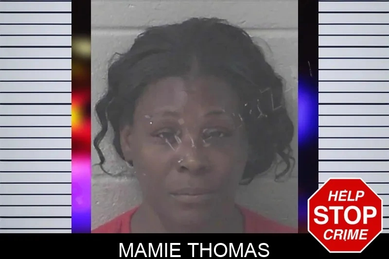 Mamie Thomas mugshot