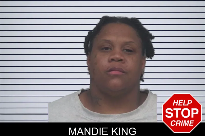 Mandie King mugshot – Gwinnett County , Georgia Mandie King mugshot