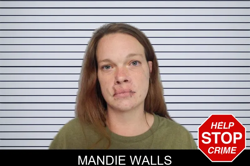 Mandie Walls mugshot – Hall County , Georgia Mandie Walls mugshot