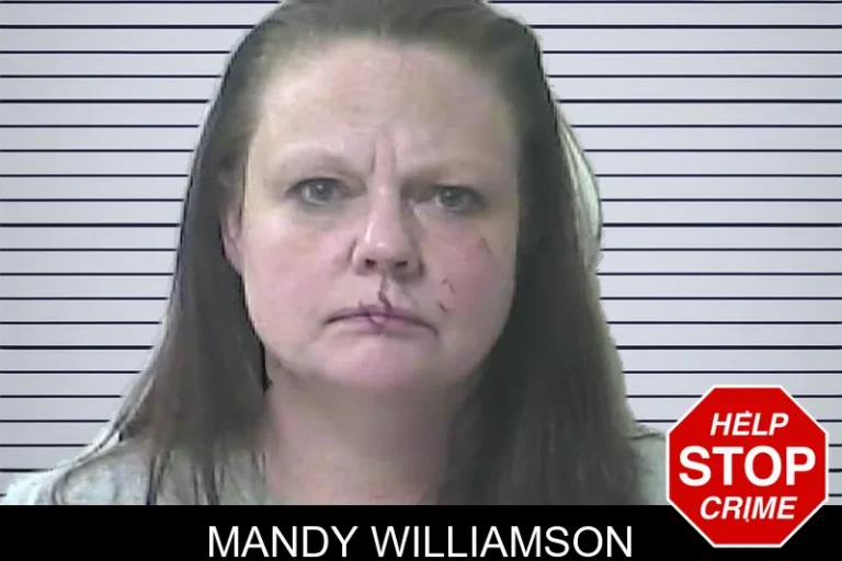Mandy Williamson mugshot – Oconee County , Georgia Mandy Williamson