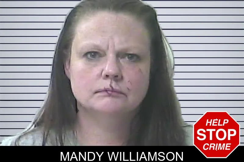 Mandy Williamson mugshot