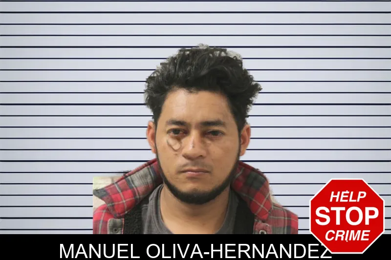 Manuel Oliva-Hernandez mugshot