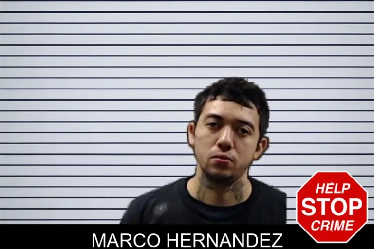 Marco Hernandez
