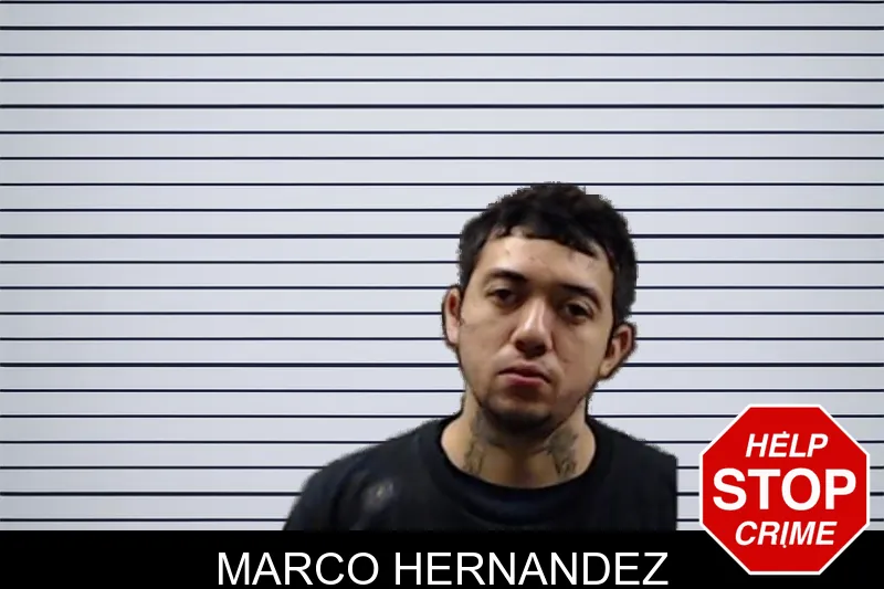 Marco Hernandez mugshot