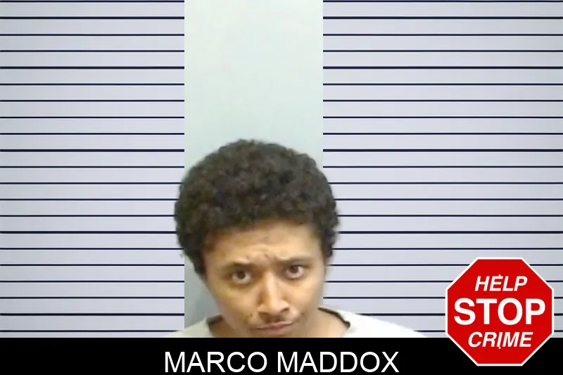 Marco Maddox mugshot