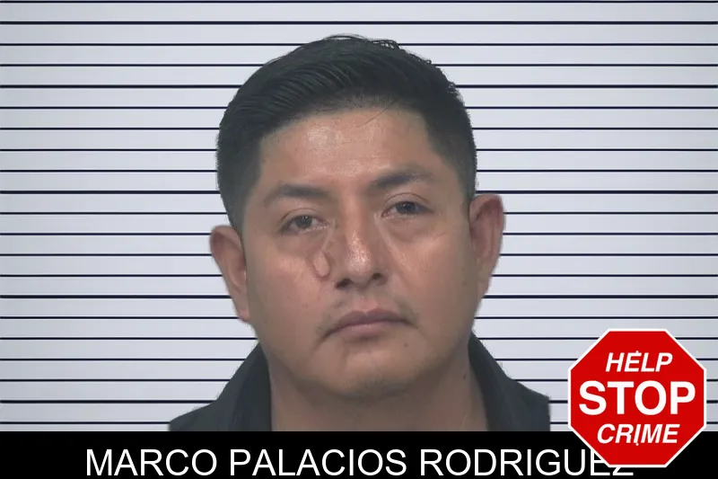 Marco Palacios Rodriguez mugshot