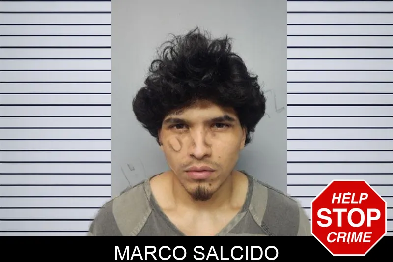 Marco Salcido mugshot – Hall County , Georgia Marco Salcido mugshot