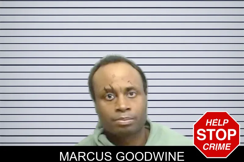 Marcus Goodwine mugshot – Fulton County , Georgia Marcus Goodwine mugshot