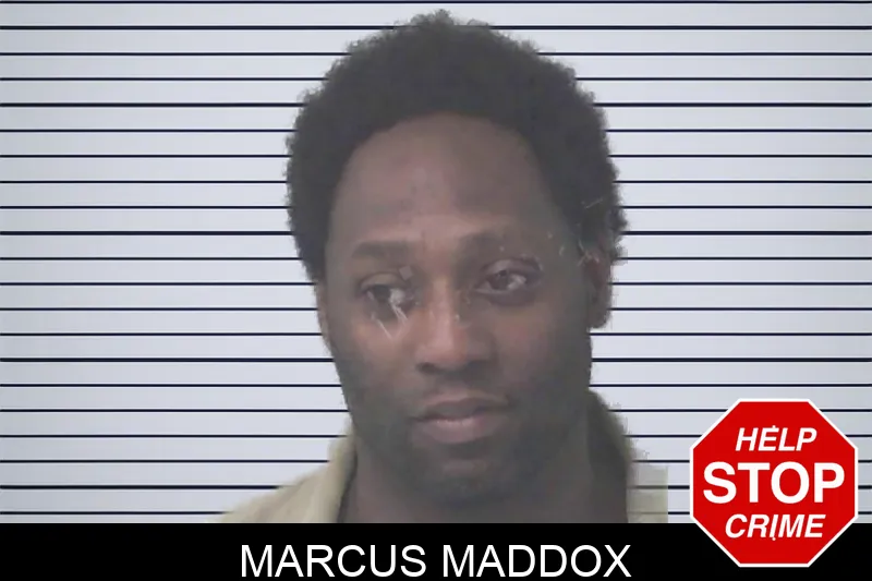 Marcus Maddox mugshot