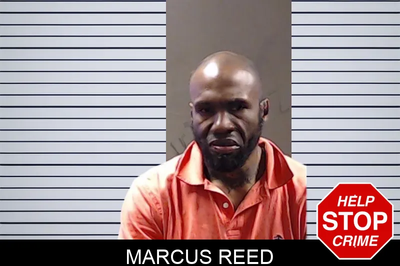 Marcus Reed mugshot