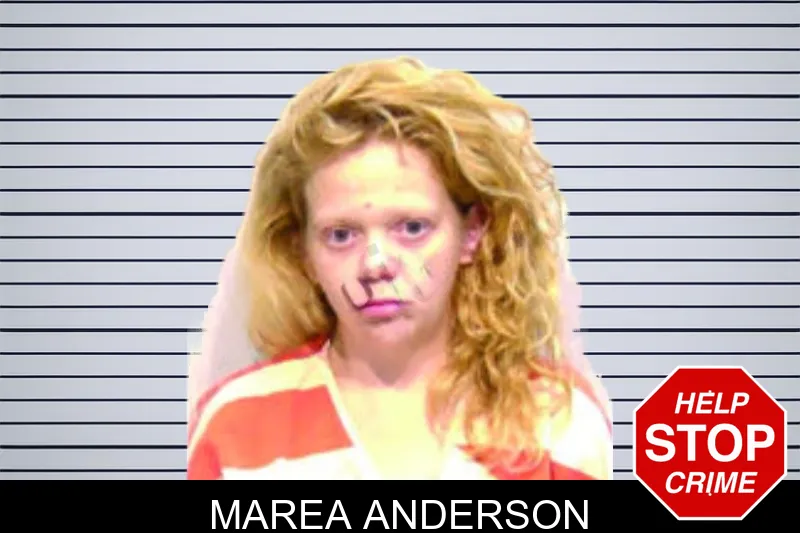 Marea Anderson mugshot – Bartow County , Georgia Marea Anderson mugshot
