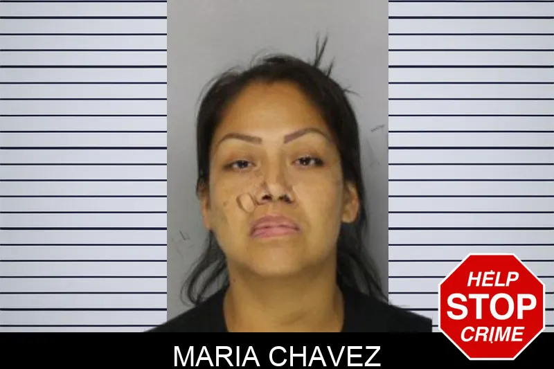 Maria Chavez mugshot – Hall County , Georgia Maria Chavez mugshot